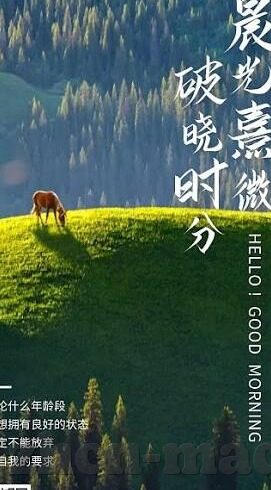 大象传媒可以看直播吗-大象传媒，直播新视界，尽享精彩瞬间