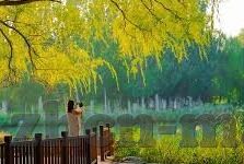 国产成人91精品免费看片麻豆-探讨国产电影佳作的多元化魅力，国产成人91精品免费看片麻豆的独特视角