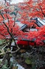 果冻传媒报复老公出轨-情感纠葛，果冻传媒下的婚姻裂痕与自我救赎