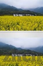 麻豆传媒直播app无限观看-麻豆传媒直播app的无限观看魅力