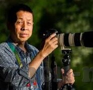 麻豆激情av在线电影-拒绝探索色情内容，构建健康网络观影新风尚