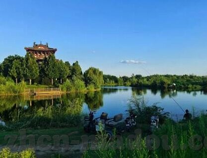 麻豆免费小视频-麻豆世界里的微小精彩，免费小视频的多样视角
