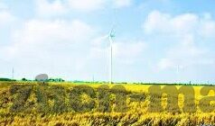 日本高清不卡一区二区三区-探索日本高清影视的多元化区域，一区、二区、三区的独特魅力
