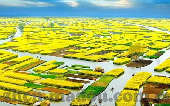 糖心app破解版1.5-题为，环境安全与个人隐私，流量问题下的理性反思