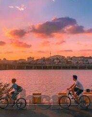 糖心app为什么要付费-糖心app的付费用途，深度洞察其价值与必要性