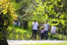 糖心视频app安装并下载-体验数字世界的甜蜜——含蓄的糖心APP探索