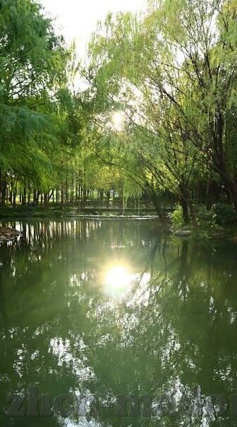 亚洲高清一区二区三区-探索亚洲影视内容的多元化发展，一区、二区、三区的独特魅力